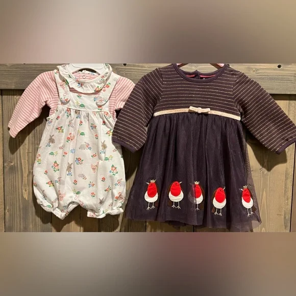 Baby Boden | Dresses | Lot Of 2 Baby Boden 3 Months Girl Purple Robin Bird  Dress Romper Outfit Euc | Poshmark